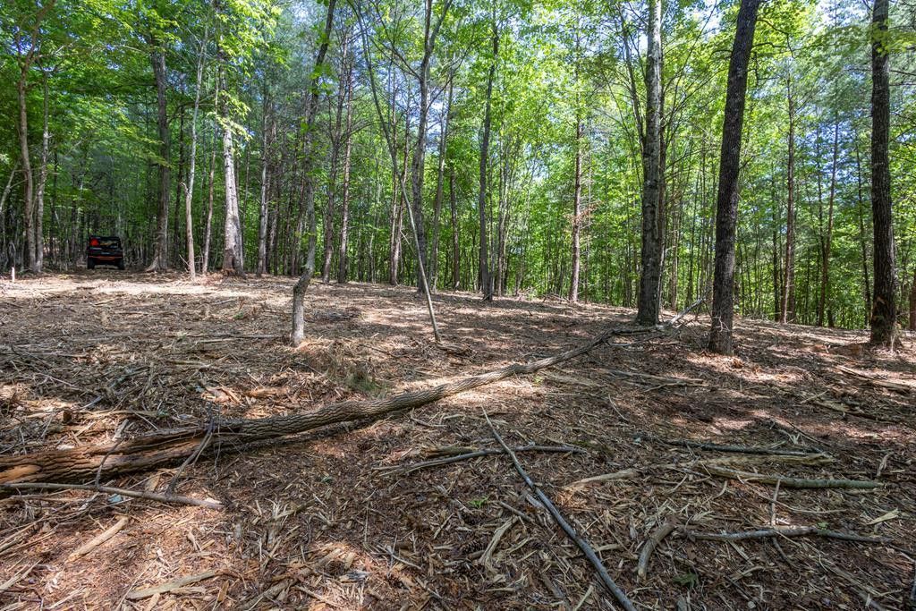 20 Ac Pack Mountain Road, Murphy, NC 28906 Main Photo