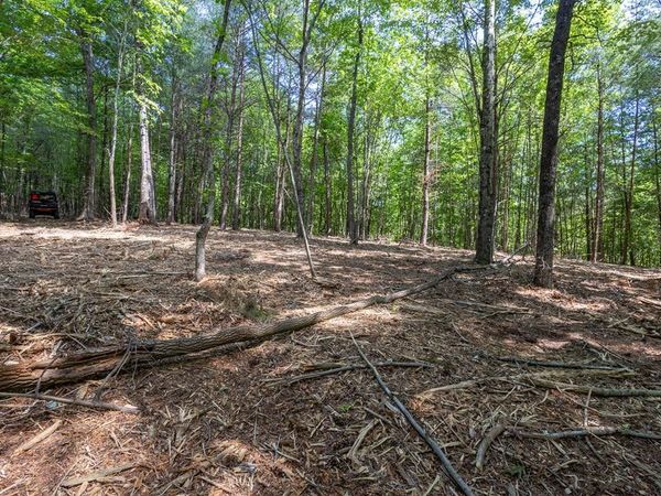 20 AC Pack Mountain Road, Murphy, NC 28906