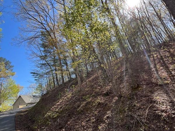 Lot 2 Lonesome Pine , Murphy, NC 28906
