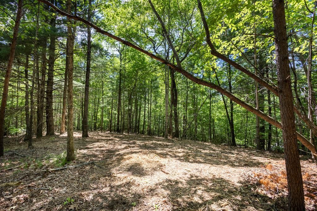 4.0 Acre Donley Road, Murphy, NC 28906 Main Photo