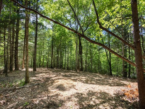 4.0 acre Donley Road, Murphy, NC 28906