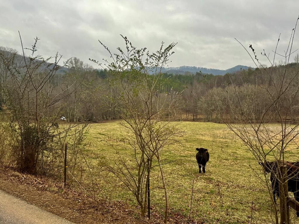 3754 Highway 68 S, Turtletown, TN 37391 Main Photo