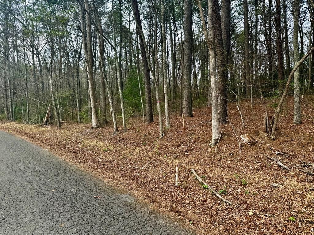 0 Nicholson Circle, Turtletown, TN 37391 Main Photo