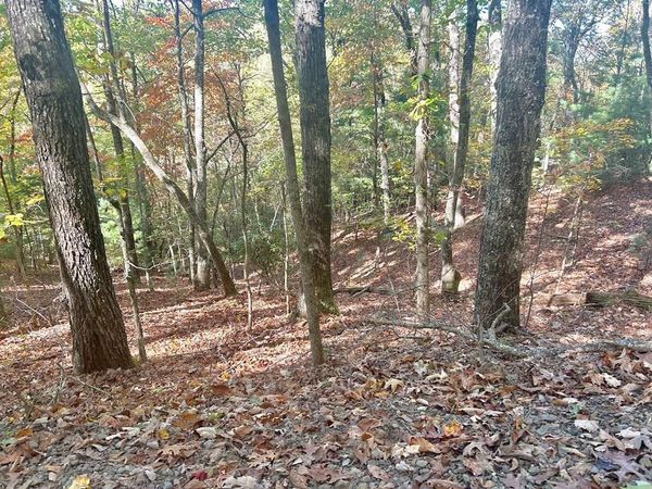 Lot 4 Ridgeline , Brasstown, NC 28902