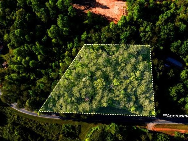 TR 3 W Gum Log Road , Warne, NC 28909