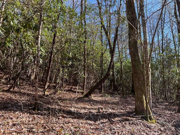 4.90 Wayah Road, Nantahala, NC 28781