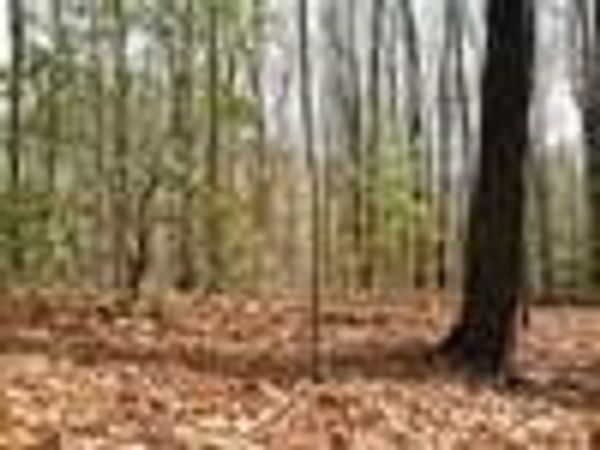 Lot 25 N Laurel Mountain Drive , Brasstown, NC 28902