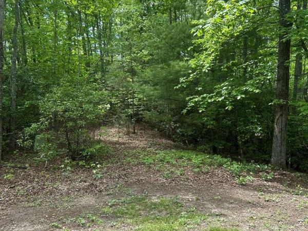 00 Sierra Springs, Murphy, NC 28906