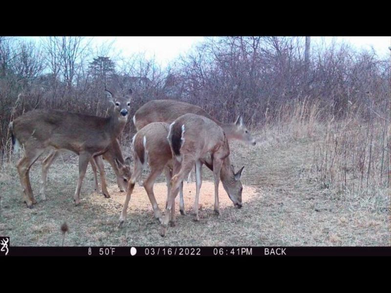 11687 Broadgauge Road , South Vienna, OH 45369 Photo 43