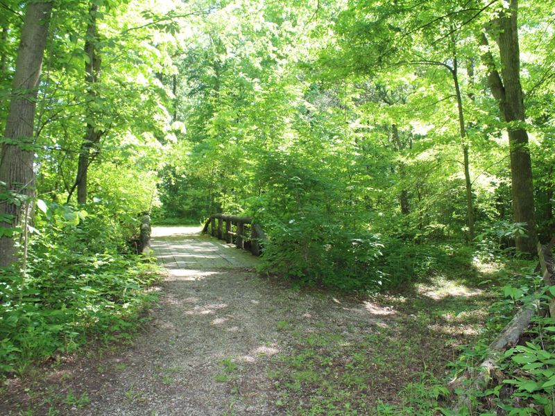 7560 Township Road 76 Road , Bettsville, OH 44815 Photo 14