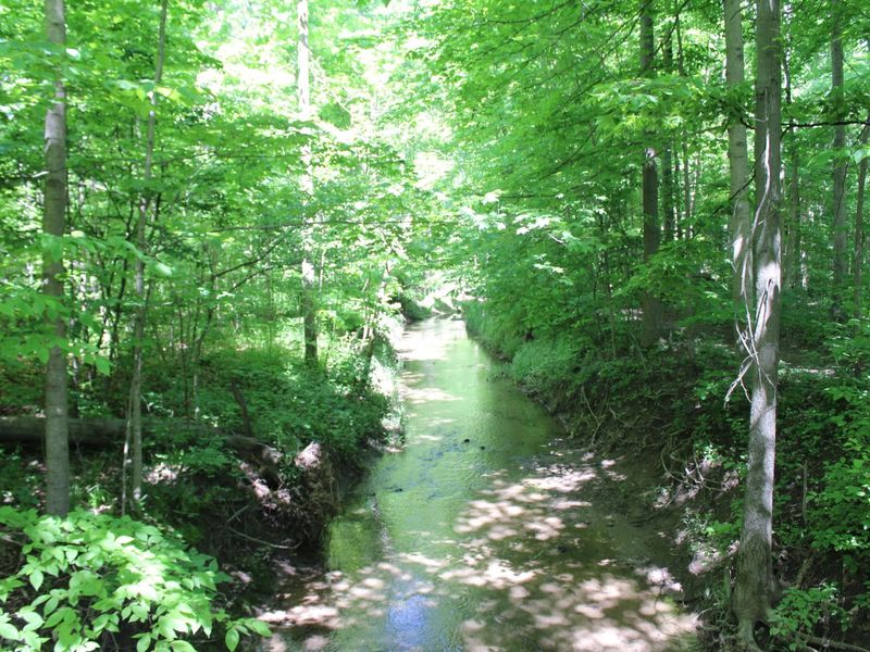 7560 Township Road 76 Road , Bettsville, OH 44815 Photo 15