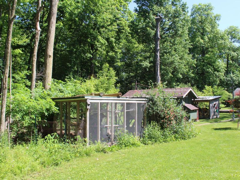 7560 Township Road 76 Road , Bettsville, OH 44815 Photo 35
