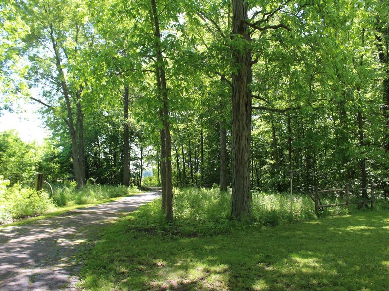 7560 Township Road 76 Road , Bettsville, OH 44815 Photo 36