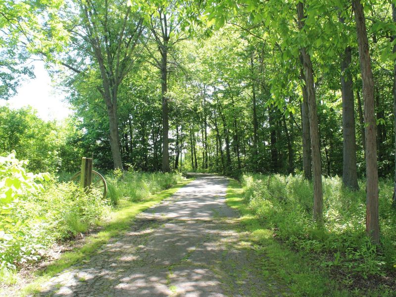 7560 Township Road 76 Road , Bettsville, OH 44815 Photo 37