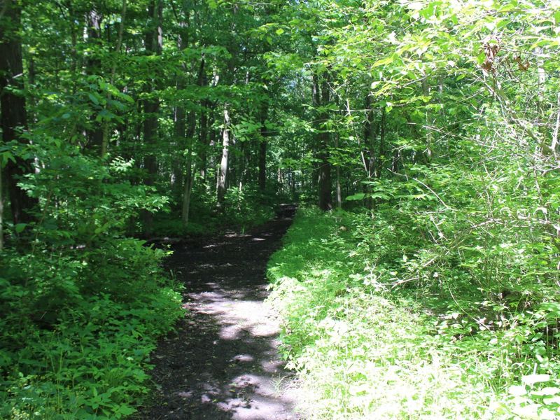 7560 Township Road 76 Road , Bettsville, OH 44815 Photo 51