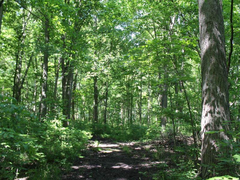 7560 Township Road 76 Road , Bettsville, OH 44815 Photo 52