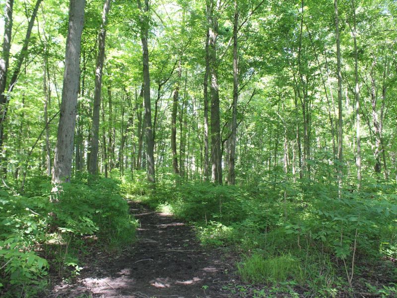 7560 Township Road 76 Road , Bettsville, OH 44815 Photo 53