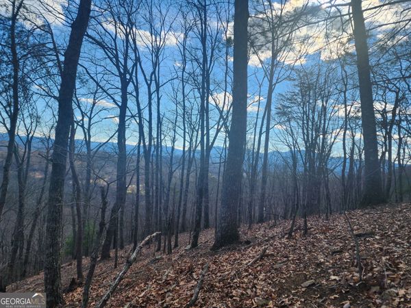 0 Trackrock Gap Road, Blairsville, GA 30514