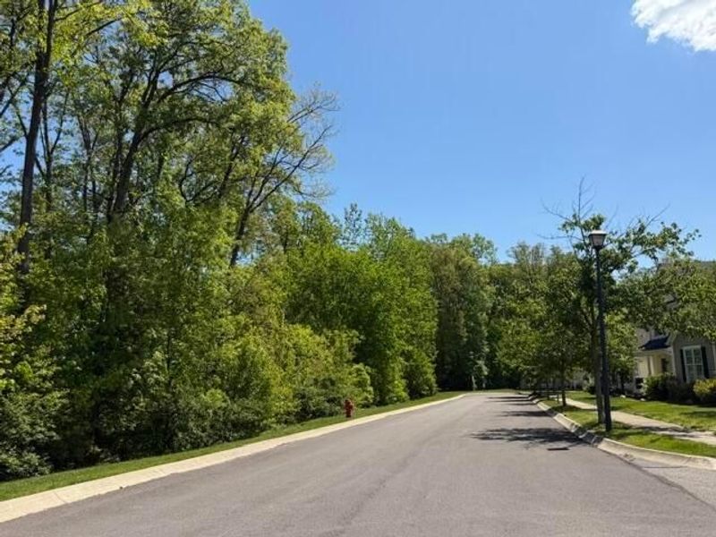 151 Arrowfeather Lane , Lewis Center, OH 43035 Photo 29