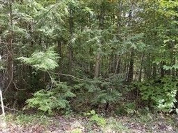 Lot 7&8 Little John, Becket, MA 01223