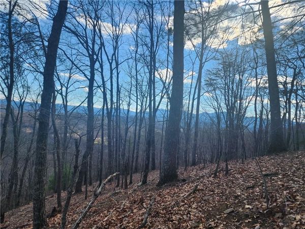 0 Trackrock Gap Road , Blairsville, GA 30514