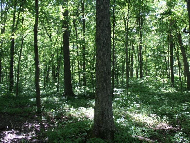 7560 Township Road 76, Green Springs, OH 44836 Photo 23