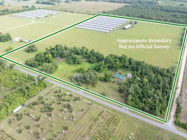 1175 SW COUNTY ROAD 351, Mayo, FL 32066