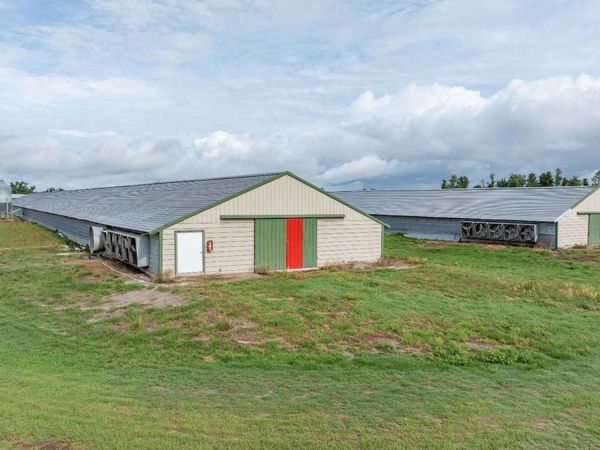 1175 SW COUNTY ROAD 351, Mayo, FL 32066