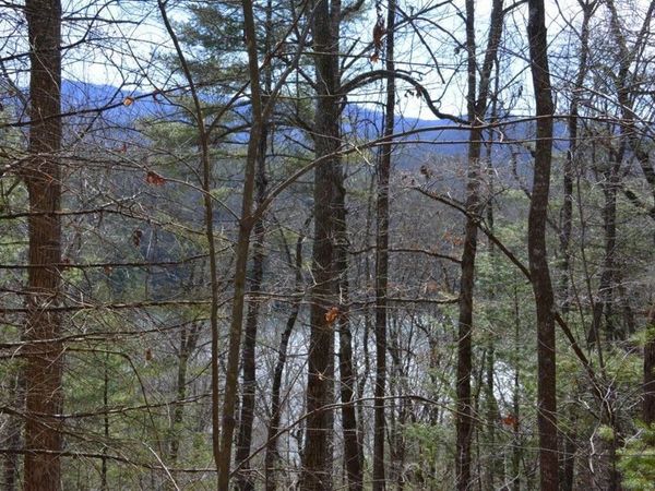 00 Chestnut Ridge, Robbinsville, NC 28771