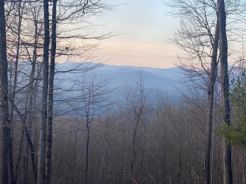 Lot 40 Big Sky Drive, Murphy, NC 28906 Main Photo