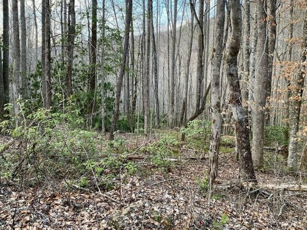 00 Carringer Road, Robbinsville, NC 28771