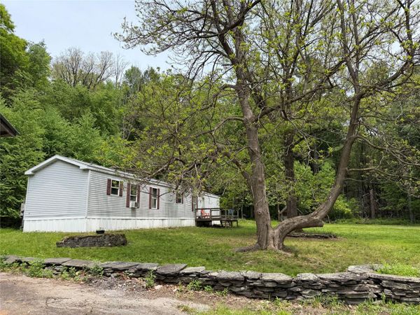 21 Hoffmann Street , Hankins, NY 12741