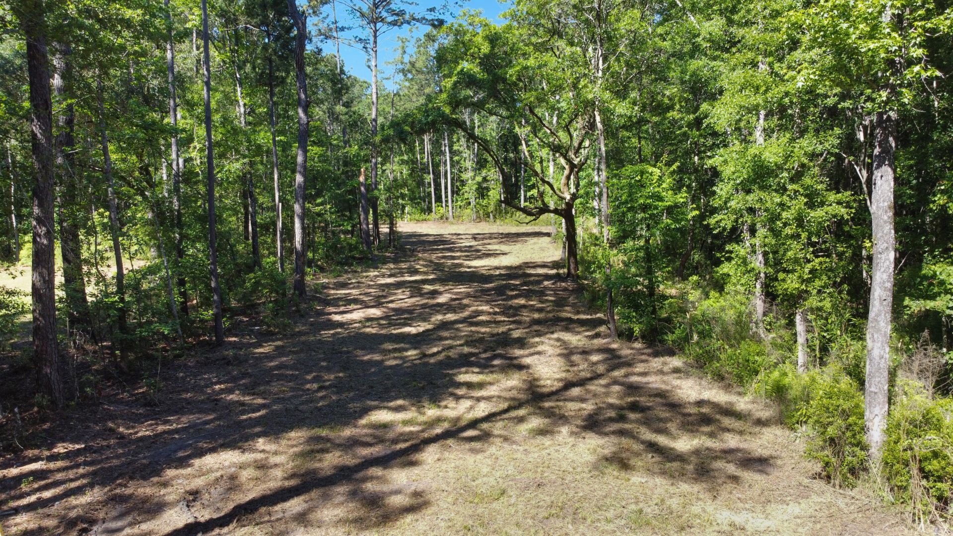 7 Milcrest Drive Photo 10