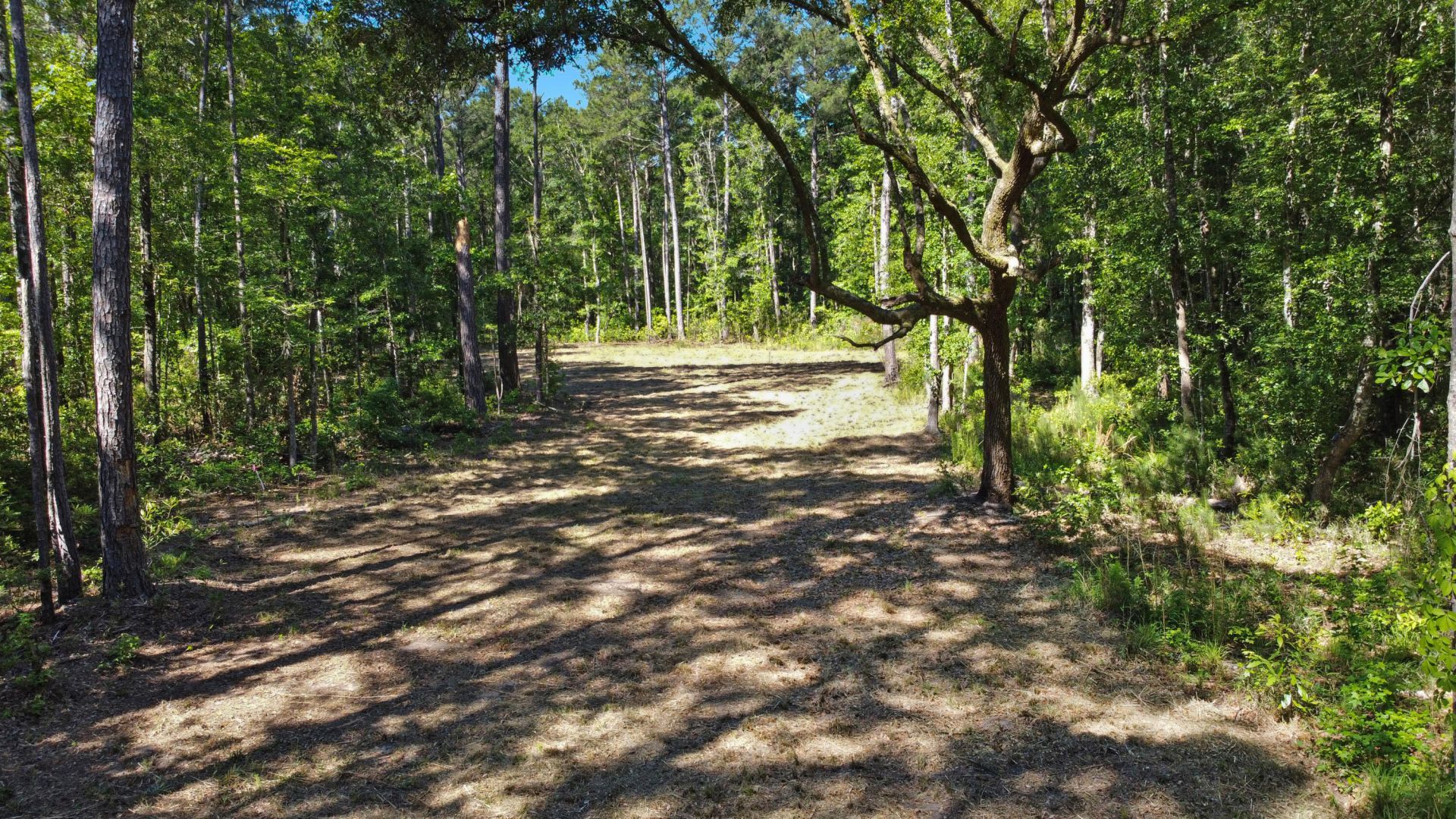 7 Milcrest Drive Photo 11