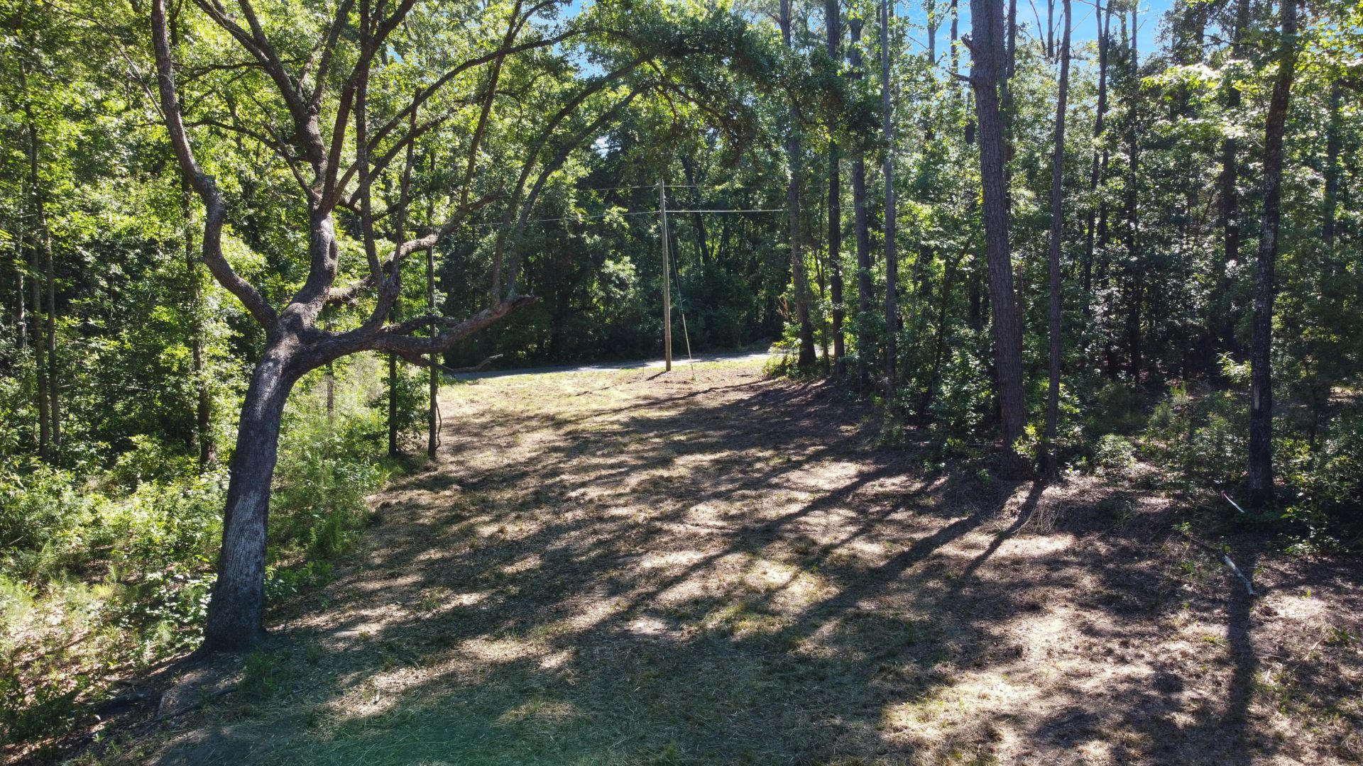 7 Milcrest Drive Photo 13