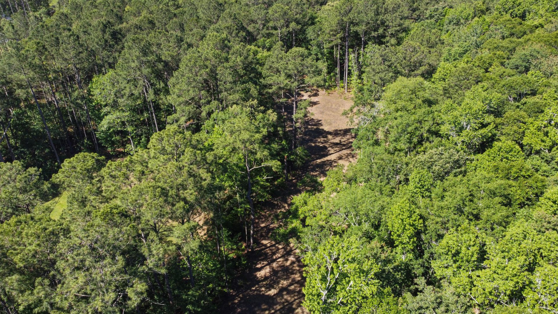 7 Milcrest Drive Photo 16