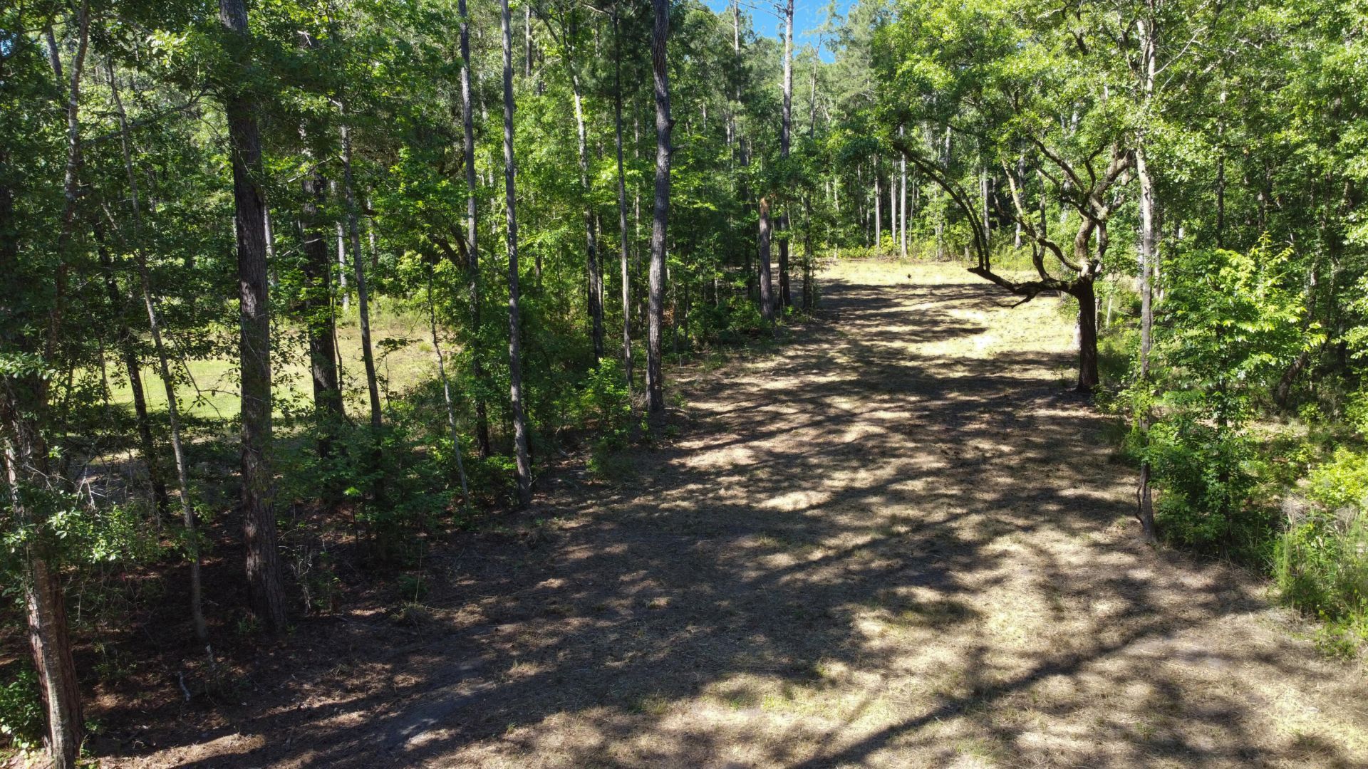 7 Milcrest Drive Photo 9