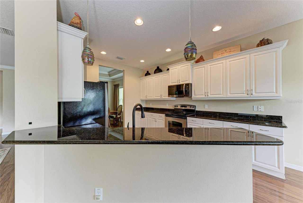 11763 Fennemore Way, Parrish, FL 34219 Photo