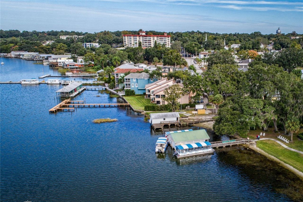 207 Pinecrest Road, Mount Dora, FL 32757 Photo