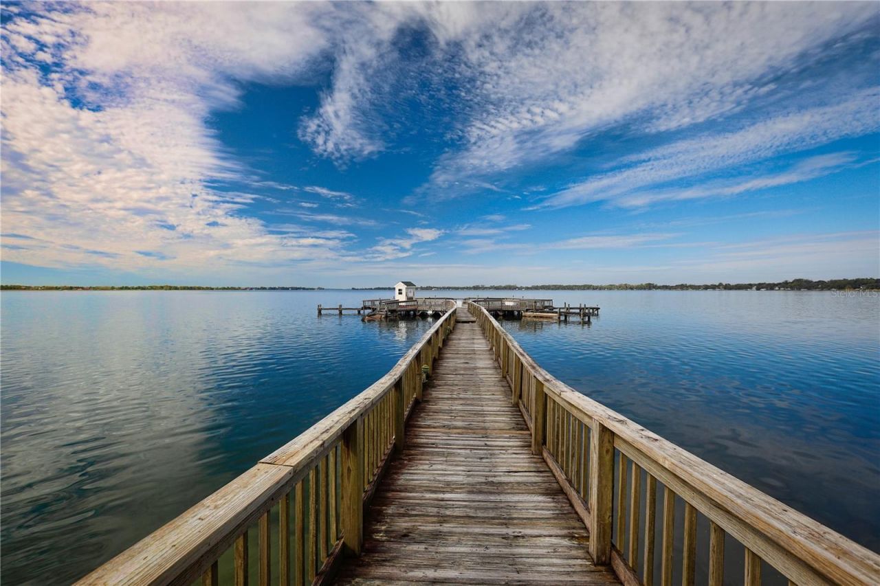 207 Pinecrest Road, Mount Dora, FL 32757 Photo