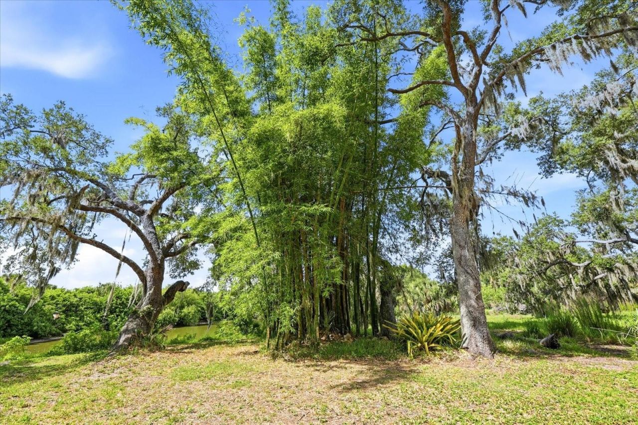 5850 Vanderipe Road , Sarasota, FL 34241 Photo