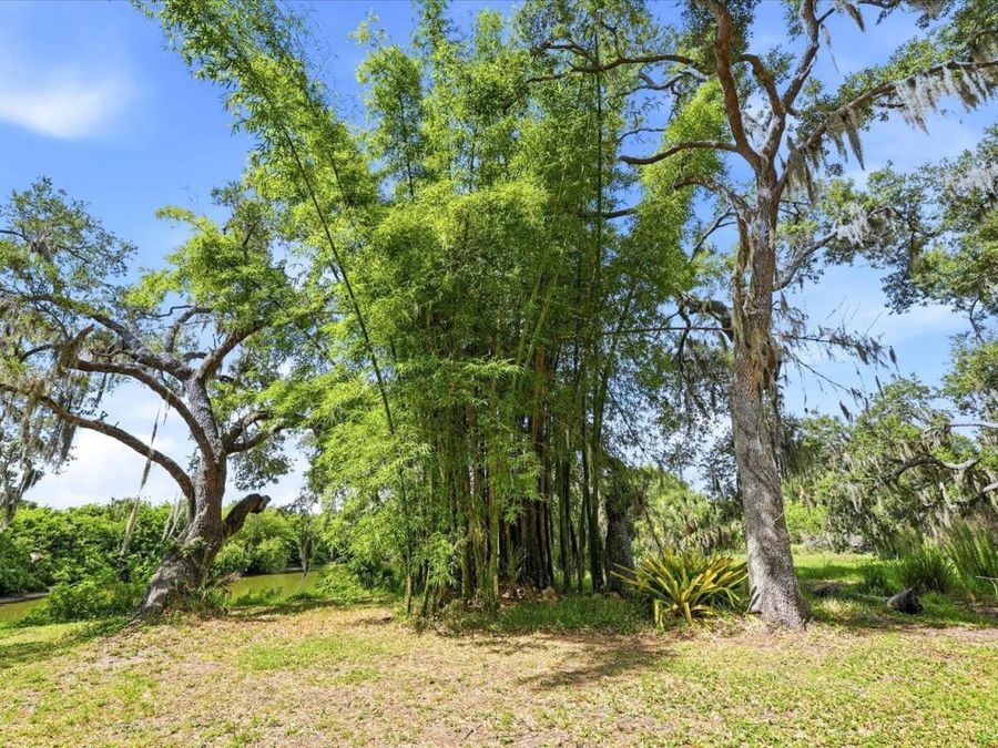 Property Image 59