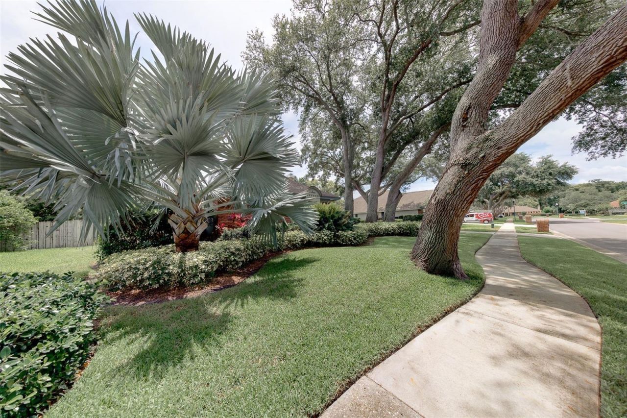 276 Sheffield Circle W, Palm Harbor, FL 34683 Photo