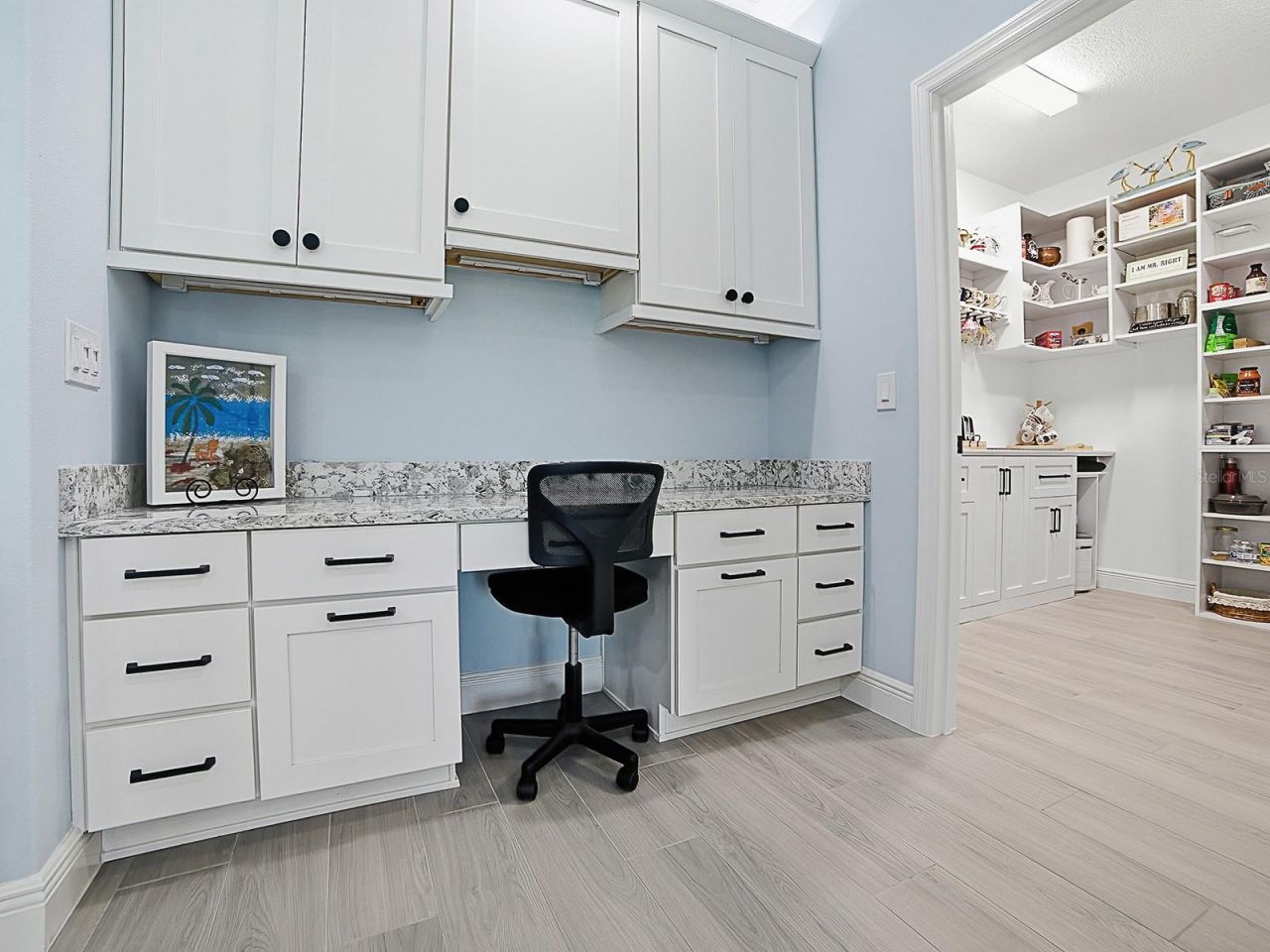 7004 Emiline Terrace, The Villages, FL 34762 Photo