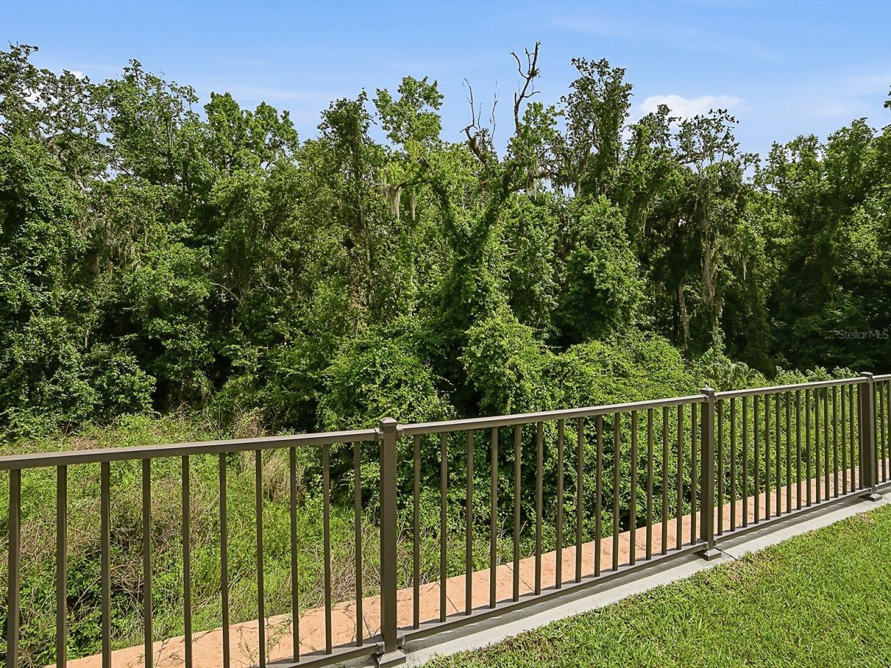 7004 Emiline Terrace, The Villages, FL 34762 Photo