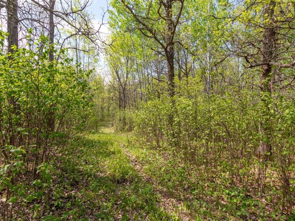 TBD Stephani Road NW, Puposky, MN 56667