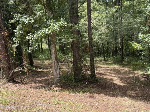 4819 GOPHER Circle, Middleburg, FL 32068