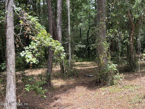 4819 GOPHER Circle, Middleburg, FL 32068