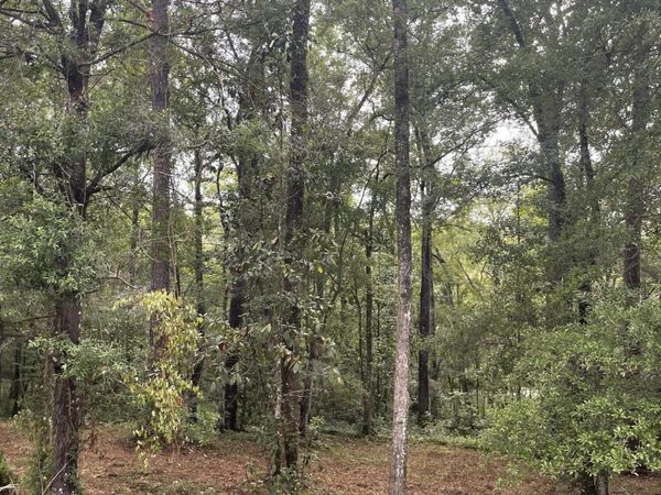 4819 GOPHER Circle, Middleburg, FL 32068
