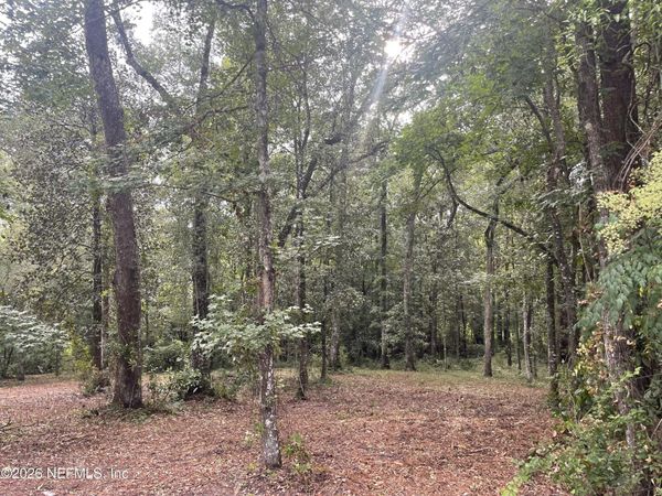 4825 GOPHER Circle, Middleburg, FL 32068